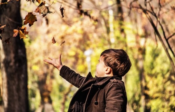 Summer school module 2 Little explorers