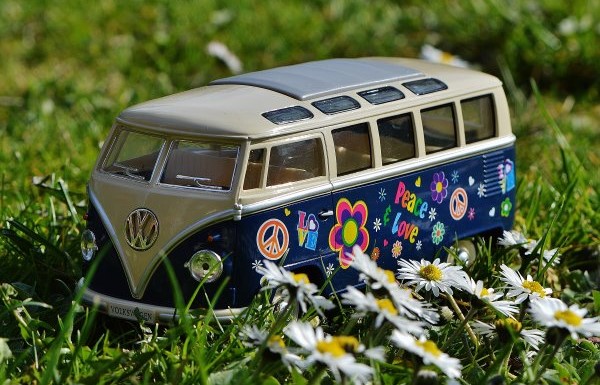 Summer school module 4 Young explorers